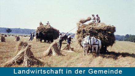 Landwirtschaft