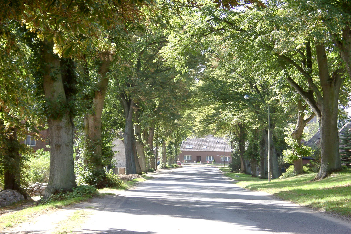 01lindenallee