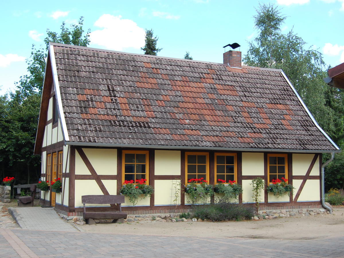 40backhaus2006